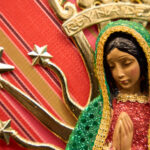 Rosa Negra Barcelona